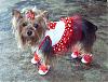 Shoes on your yorkies-red-shoes2.jpg