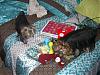 Mommy got us all new safe toys-newtoys-021-600-x-450-.jpg