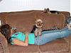 All the Yorkies at MY house....-carson-front-center-.jpg