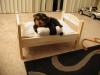 Binky's new bed-binkysnewbed.jpg