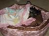 Kieles New Bed!!-dsc00860.jpg