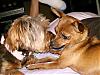 Does anyone know of.....-l_5000d687e46fec8e8089e527a3b6aae5.jpg