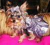 Look! The Beautiful Halloween Dress Jodie Made!-mattieinholloweendressfromjodie2007-002.jpg