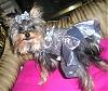 Look! The Beautiful Halloween Dress Jodie Made!-mattieinholloweendressfromjodie2007-005.jpg