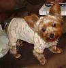 Need Help with Sizing for PJ's-koda-pj_s-5-.jpg