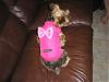 Shana, Tinkerbell's Closet -- YOU ROCK!!-tia-pink-puffy-coat-2.jpg