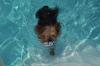 Does your yorkie love to swim?-bear-swimming.jpg