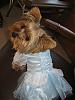 YorkieTalk Halloween 2007 Contest - SUBMIT ENTRIES!-img_2015.jpg