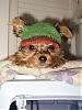 Sweater for Small Yorkie-dexsock2.jpg