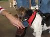 Pet Expo today-expo6.jpg