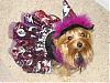 YorkieTalk Halloween 2007 Contest - SUBMIT ENTRIES!-sharipictures1070.jpg