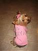 Another good place to shop for doggie clothing!!!!!-picture-002.jpg