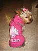 Another good place to shop for doggie clothing!!!!!-picture-005.jpg