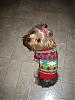 Another good place to shop for doggie clothing!!!!!-target-sweater-2.jpg