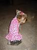 Another good place to shop for doggie clothing!!!!!-wal-summer-1.jpg
