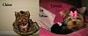 Who's Your Yorkie's YorkieTalk Twin?-tc-twins-2.jpg