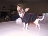 BarkinDogClothes-img_0140.jpg