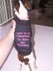 BarkinDogClothes-img_0139.jpg