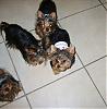 My little girl ruby and my little man Bailey are getting so big!-s8003551.jpg