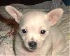 New Pics of Lida Rose & Puppies-004.jpg