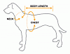 Measuring your Yorkie-measuring-dog.gif