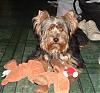 Introducing SoCo :)-rsz_dscf0098.jpg