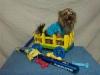 Petco Pictures-pict1417t.jpg