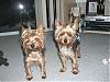 PICTURE OVERLOAD: Coco and Rocco at their finest-new-pics-282-450-x-338-.jpg