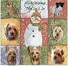 Custom 7 dog xmas card!-xmas-small.jpg