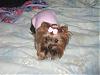 Cali in Pixie in their matching sweater-nailtrimnov-001-600-x-450-.jpg