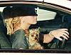 Britney with a yorkie-1.jpg