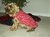 Who has larger Yorkies.-aubreys-2nd-christmas-006-cropped.jpg