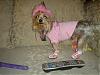 My TINKERBELL is celebrating her 2nd Birthday!!!-dsc00087.jpg