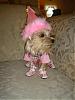 My TINKERBELL is celebrating her 2nd Birthday!!!-dsc00084.jpg