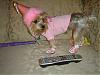 My TINKERBELL is celebrating her 2nd Birthday!!!-dsc00086.jpg