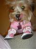 My TINKERBELL is celebrating her 2nd Birthday!!!-dsc00104.jpg