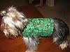 yay- made the doggies christmas outfits!-img_1360.jpg