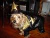 petedge Halloween Costumes-dsc01899.jpg