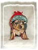 Wishing all of YT a Merry Christmas and tons of puppy kisses!-120407-6.jpg