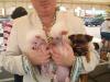 Wonderful day at NC's prettiest pet pageant!-funniest-dogs-ever-.jpg