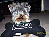 Rockie at 8 months-picture-004.jpg