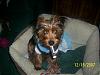 Hi all, I'm a newbie and have a couple of questions-try-get-..jpg