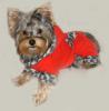 ~*~Yorkie Fashion Show~*~-tinkredcoat.jpg