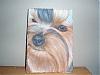 Yorkie Art-p1080279.jpg