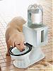 water-toilet_dog_bowl-1.jpg