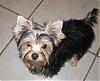 Calling All YT Boys -- COME JOIN!!!-max7-15-07b.jpg
