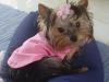 Princess is doing better!!!!-dsc01774.jpg