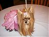 What a beauty Kia is!-kia10-600-x-450-.jpg