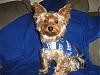 Rocky new haircut-picture-172.jpg