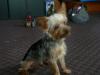 :( Thumper Needs A New Home-thumper-005-640-x-480-.jpg